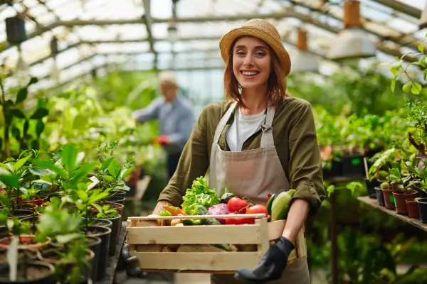 Hortas suspensas – beleza e funcionalidade no seu jardim vertical