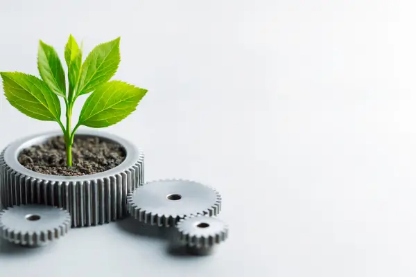 Dicas para Projetar Jardins Criativos com Inclusão e Sustentabilidade