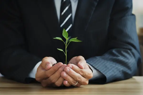 Transforme Seu Quintal em um Espaço Acolhedor para Todos