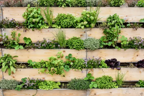 Como Criar um Jardim Vertical em Pequenos Espaços