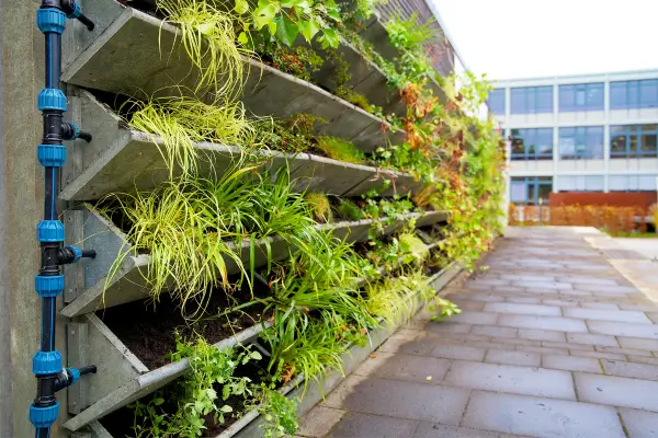 Ideias Criativas para Montar um Jardim Vertical Sustentável