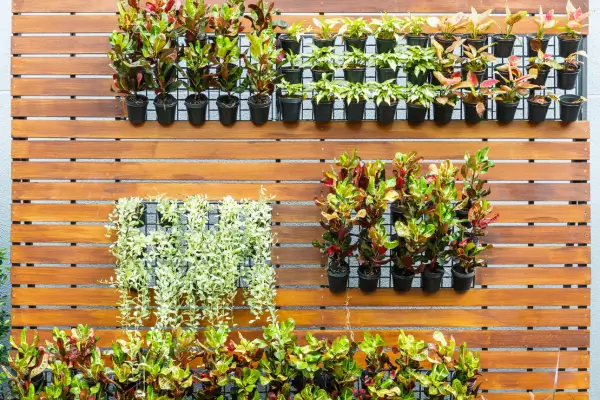 Passo a Passo para Fazer um Jardim Vertical com Materiais Recicláveis