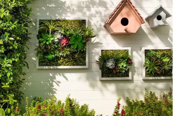 As Melhores Plantas para Jardins Verticais Internos