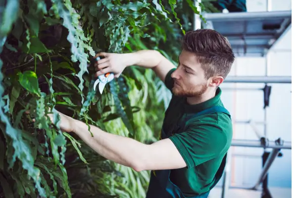 Transforme Sua Varanda com um Jardim Vertical Charmoso