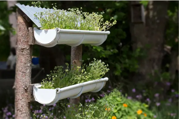 Jardim Vertical: Solução Criativa para Quem Tem Pouco Espaço