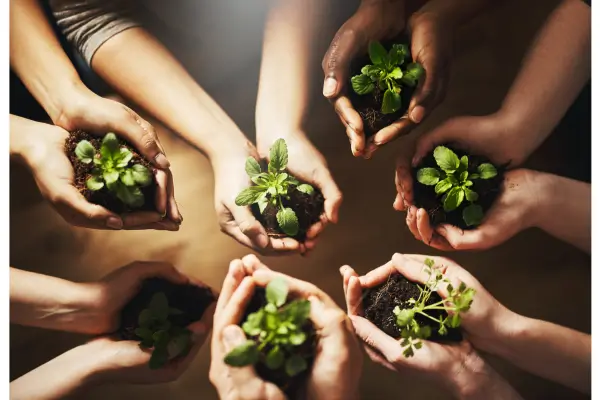 Como Adaptar Seu Jardim para Pessoas com Mobilidade Reduzida: Guia Prático e Acessível