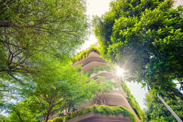 Jardinagem Inclusiva em Pequenos Espaços: Ideias Funcionais e Charmosas