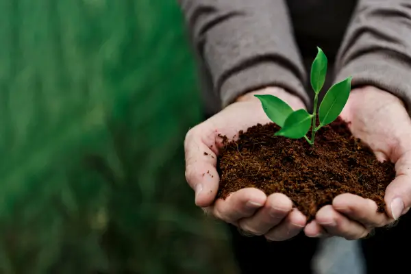 Verde para Todos: Como Tornar a Jardinagem Mais Inclusiva e Sustentável