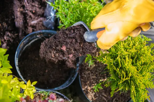 Horta de Baixo Custo: Como Economizar e Aproveitar Recursos Naturais