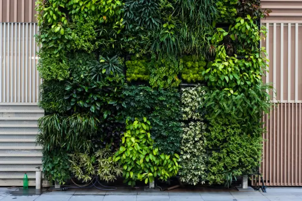  Inspirações de Jardins Verticais para Deixar Sua Casa Mais Verde
