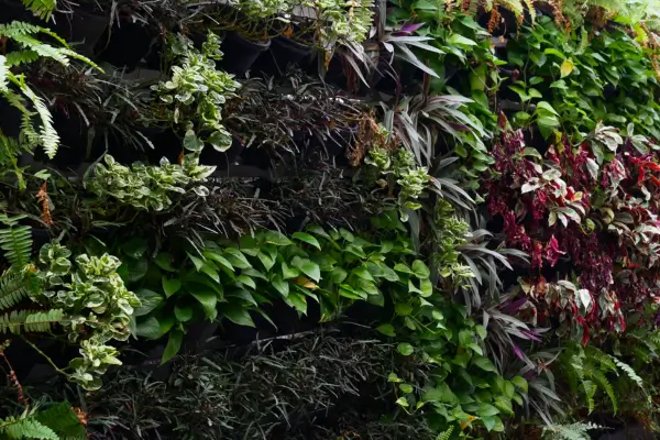 Ervas e Temperos no Jardim Vertical: Cultive na Sua Cozinha