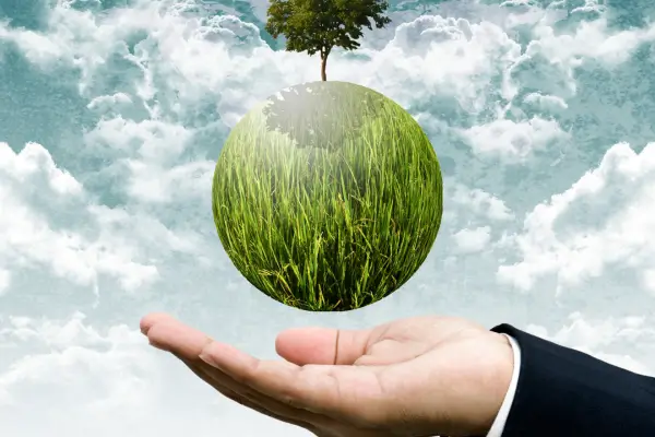 Colheita na Mesa: Receitas Criativas com Ingredientes da Sua Horta