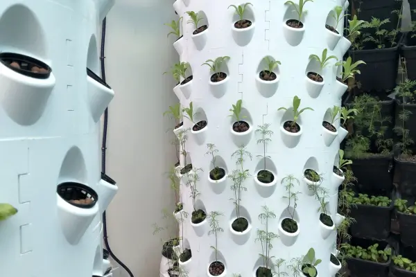 Chuva a Favor: Como Integrar Jardins Verticais ao Ciclo das Águas em Climas Úmidos