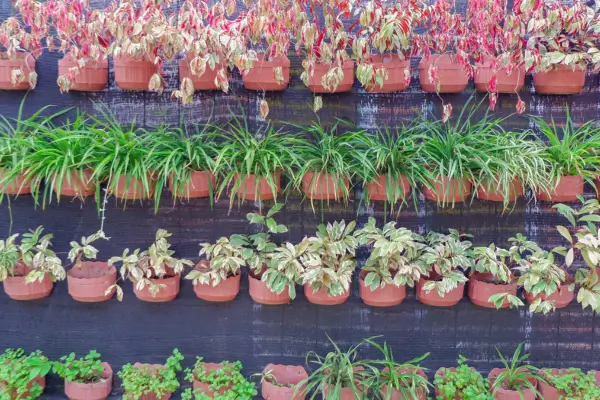 Jardinagem Vertical no Inverno: Como Proteger Suas Plantas em Regiões Frias