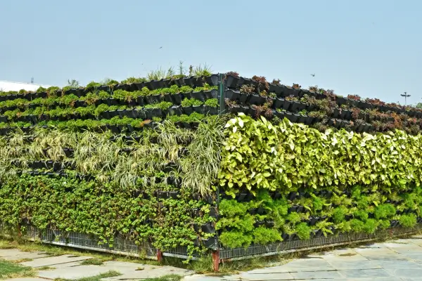 Jardins Verticais em Ambientes de Sol Pleno: Plantas Que Amam Calor e Crescem para o Alto